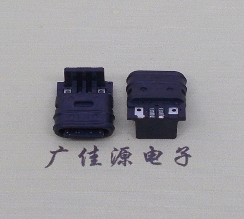 type-c2pin防水IPX7接口電動(dòng)牙刷用充電尾插頭