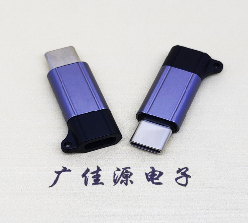 Type-C母轉(zhuǎn)Type-C公PD100W快沖接口轉(zhuǎn)接器