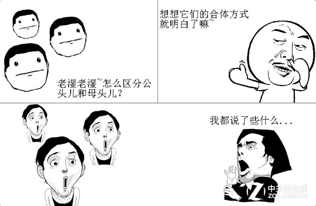 公頭和母頭的區(qū)分方式