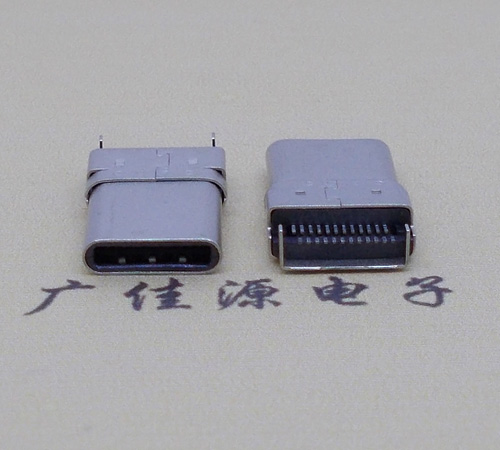 USB 3.1 TYPE C DIP+SMT公頭