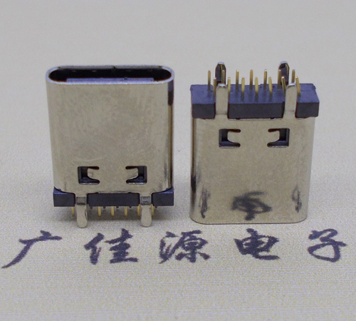 USB Type C14P母頭直立插板