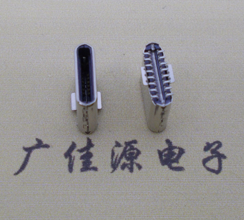 立貼type c公頭 立貼type c公頭