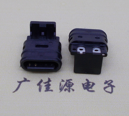 type-c2p母座