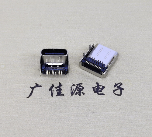 type c24p雙殼母座