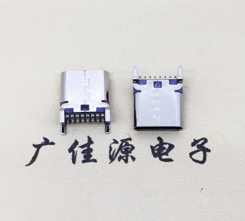 TYPE-C16P兩排直貼母座